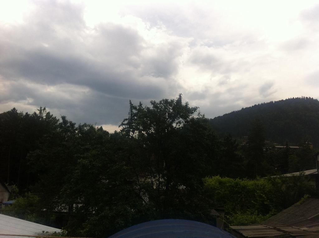 Guesthouse Natalia Borjomi Bagian luar foto