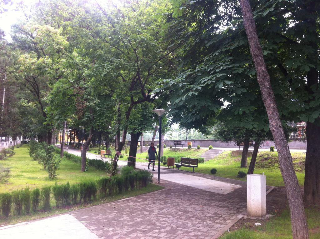 Guesthouse Natalia Borjomi Bagian luar foto