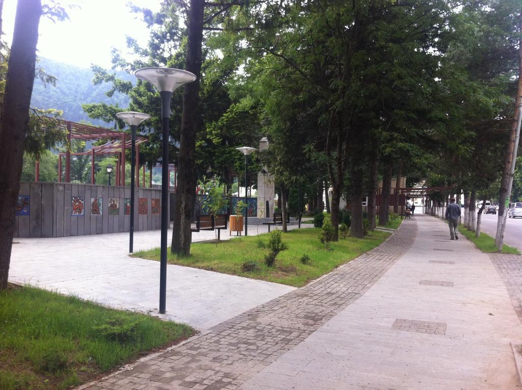 Guesthouse Natalia Borjomi Bagian luar foto